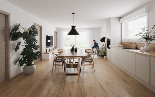 Appartement T3/4 Duplex à l’Étage à Munchhausen